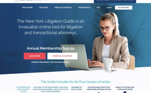NEW YORK LITIGATION GUIDE